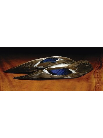 Nature's Spirit Mallard Whole Wings