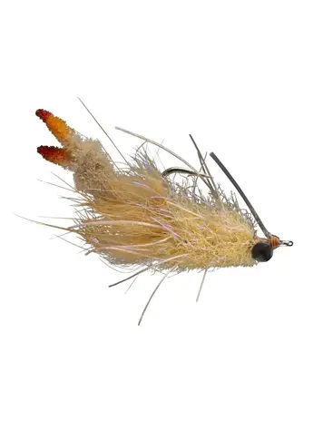 Rio RIO's Aldous Armed Critter