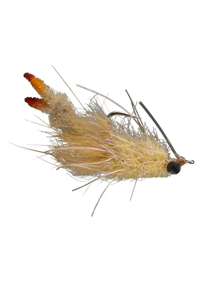 Permit - Royal Treatment Fly Fishing