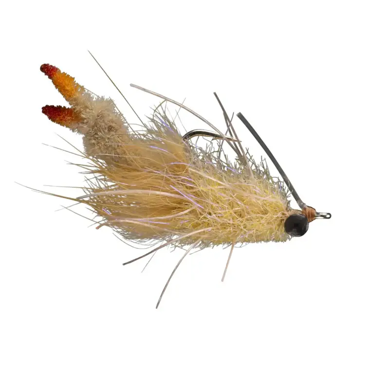 Rio RIO's Aldous Armed Critter