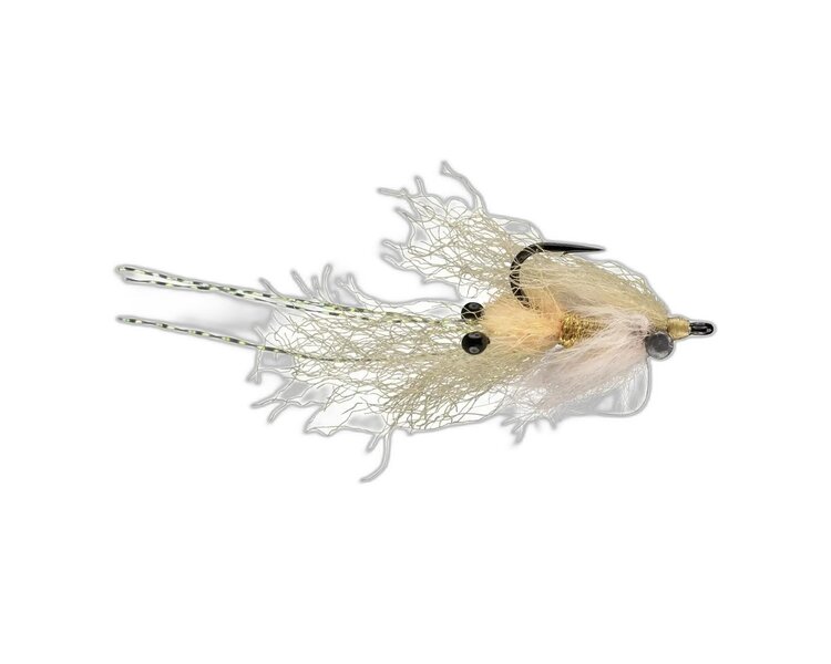 Rio RIO's Christmas Mantis