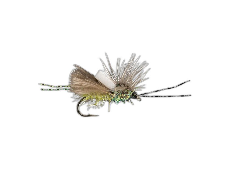 Rio Rio's Crime Scene Caddis