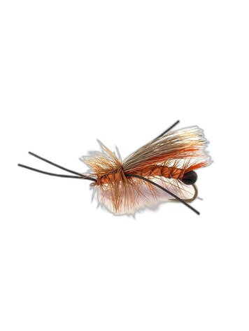 Solitude Salmonfly Egg Layer Sz 4