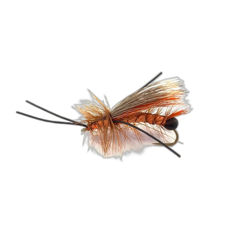 Solitude Salmonfly Egg Layer Sz 4