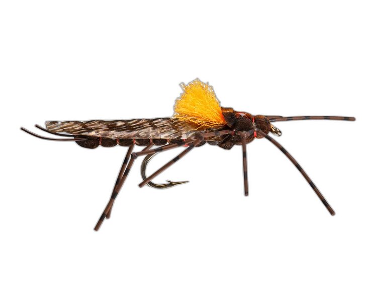 Umpqua Feather Merchants Morrish Still Stone Salmon Fly Sz 6