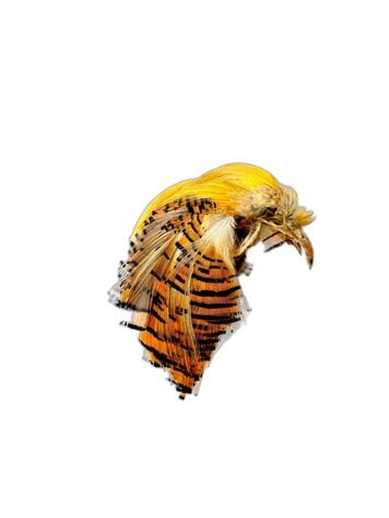 Nature's Spirit Golden Pheasant Head Natural