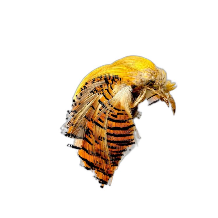 Nature's Spirit Golden Pheasant Head Natural