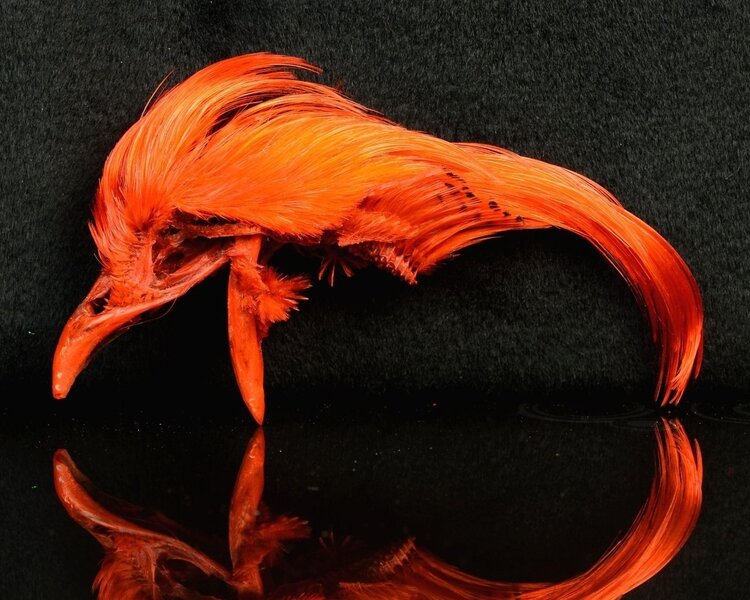 Nature's Spirit Golden Pheasant Head Natural