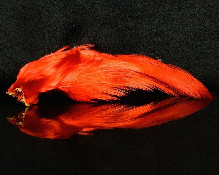 Nature's Spirit Golden Pheasant Head Natural