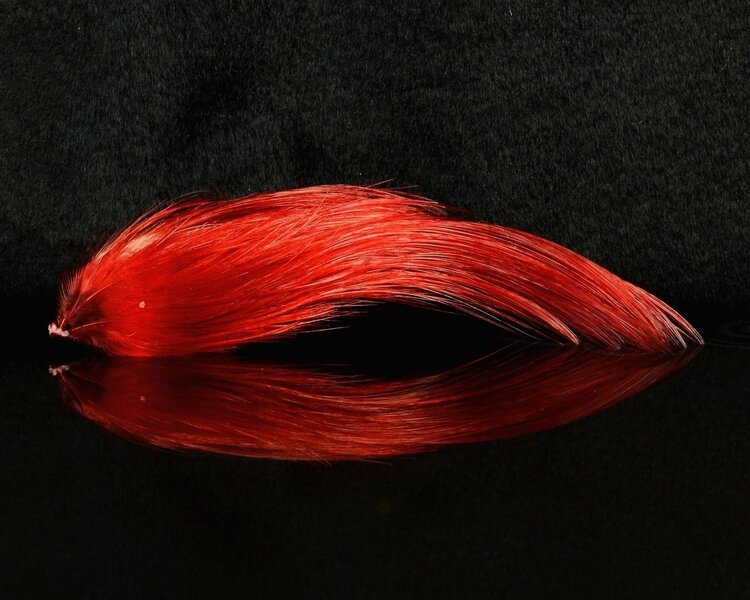 Nature's Spirit Golden Pheasant Head Natural