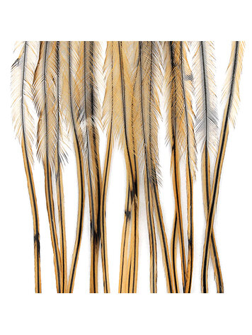 MFC MFC Whiting 100 Pack Golden Badger