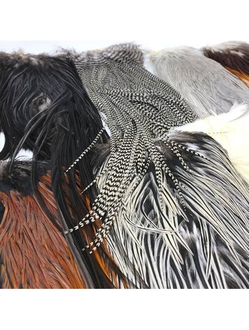 Umpqua Feather Merchants Metz Legacy Grade Saddle Hackle