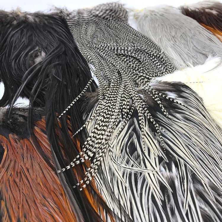 Umpqua Feather Merchants Metz Legacy Grade Saddle Hackle