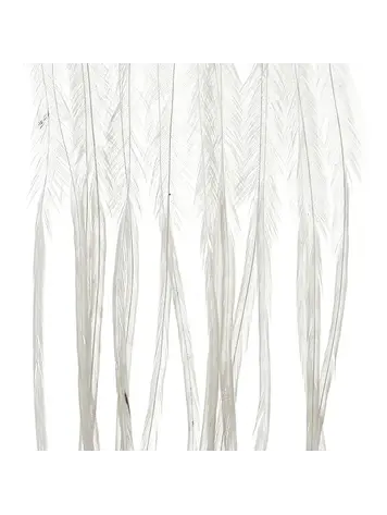 MFC MFC Whiting 100 Pack White