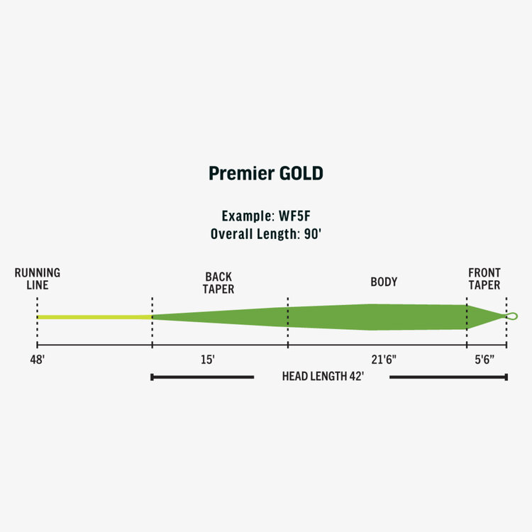 Rio RIO Premier Gold XP