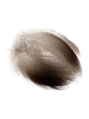 Wapsi Bronze Mallard Feathers