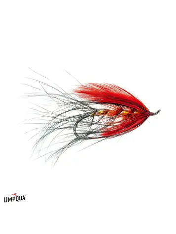Aqua Flies Dec's Mahony