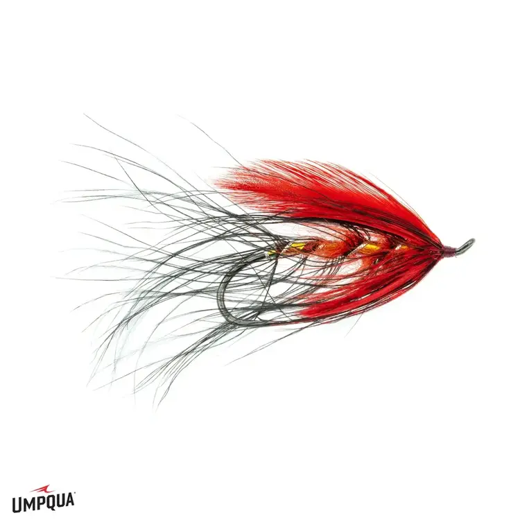 Aqua Flies Dec's Mahony