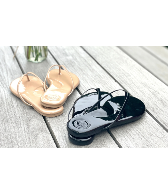 Soleil Sea Flip Flops