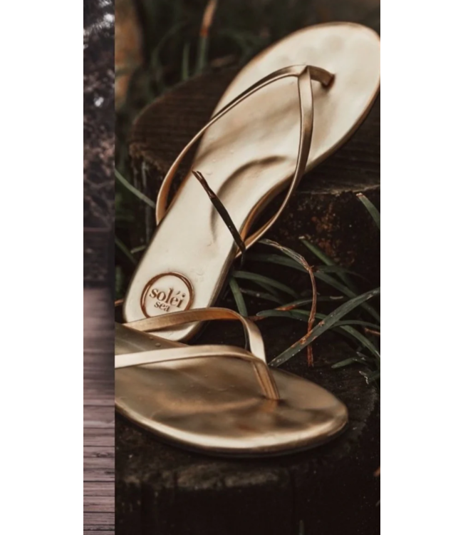 Soleil Sea Flip Flops