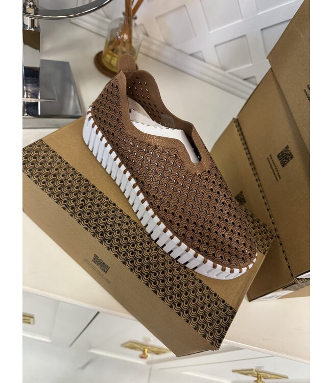 isle jacobson tulip plateu