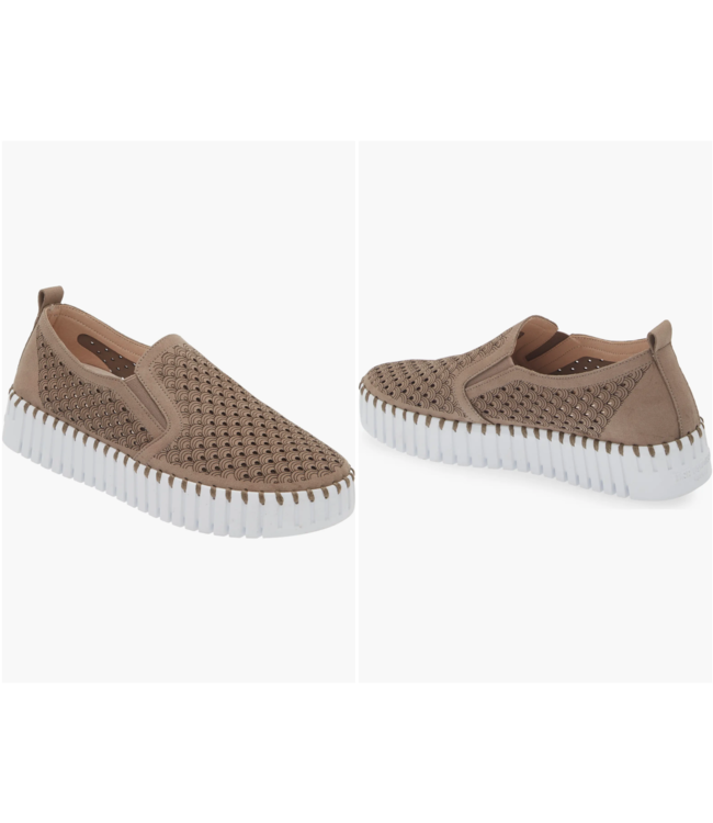 isle jacobson tulip plateu