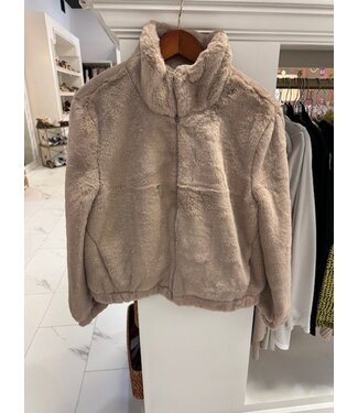 j.society j.society teddy bomber