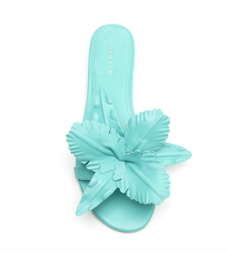 cecilia new york Lila Flat