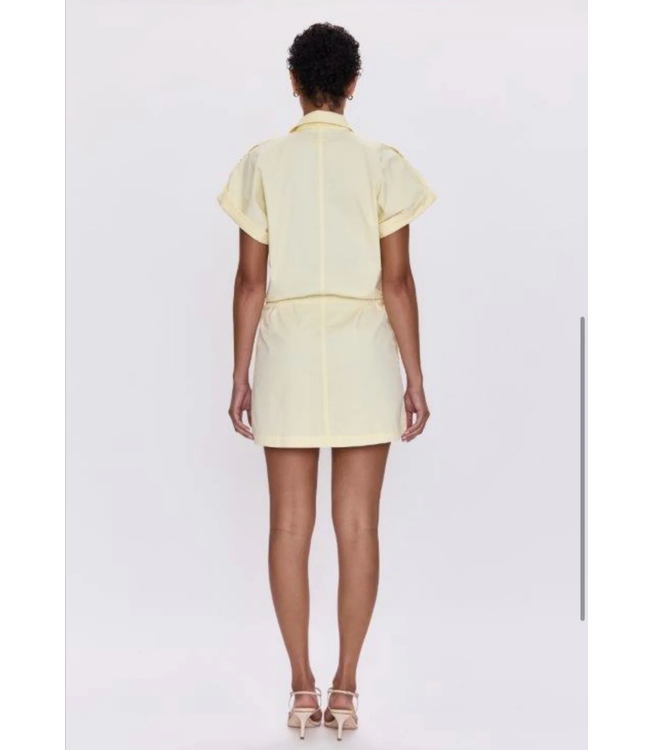 Pistola- Meg dress zip front dress