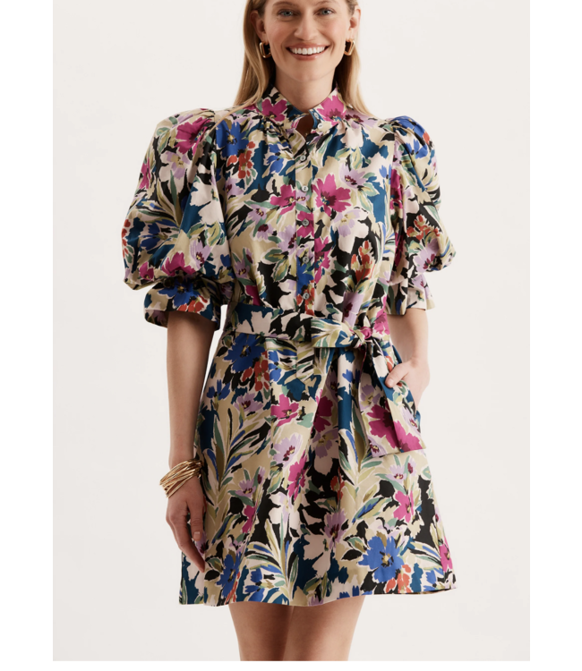 Tyler Boe 71105CC Lydia Dress