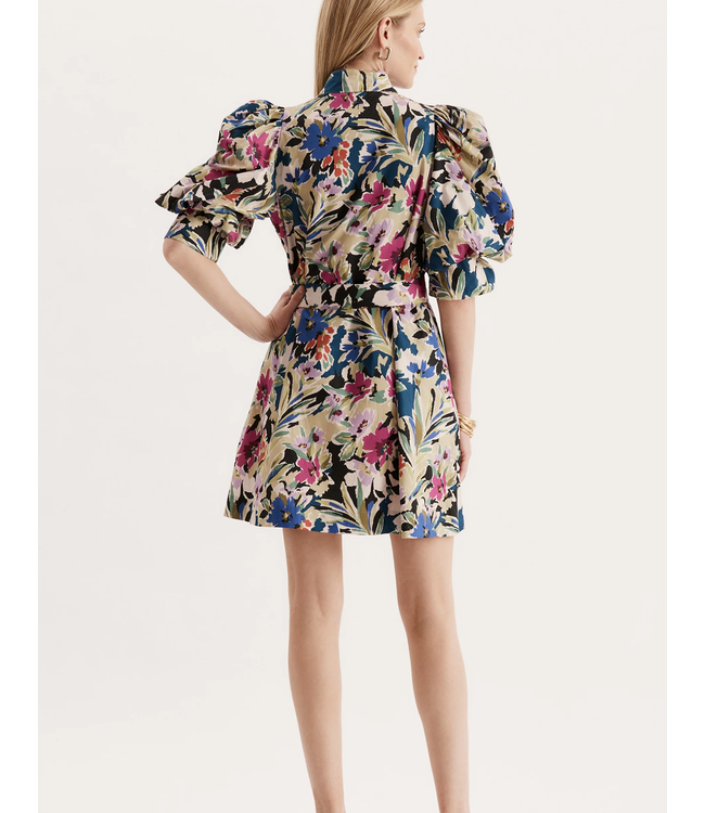 Tyler Boe 71105CC Lydia Dress