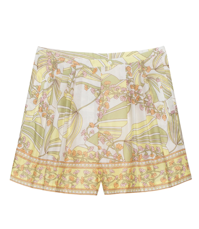 Sundays 25-22-008 Cezanne shorts