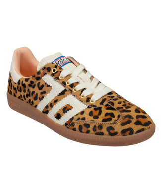 Back 70 Back 70 Cloud sneaker