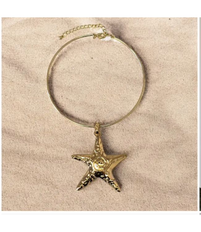 Bijoux Envie Starfish Gold Necklace N4305