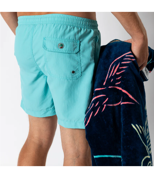 6" Solid Sailport Swim Short