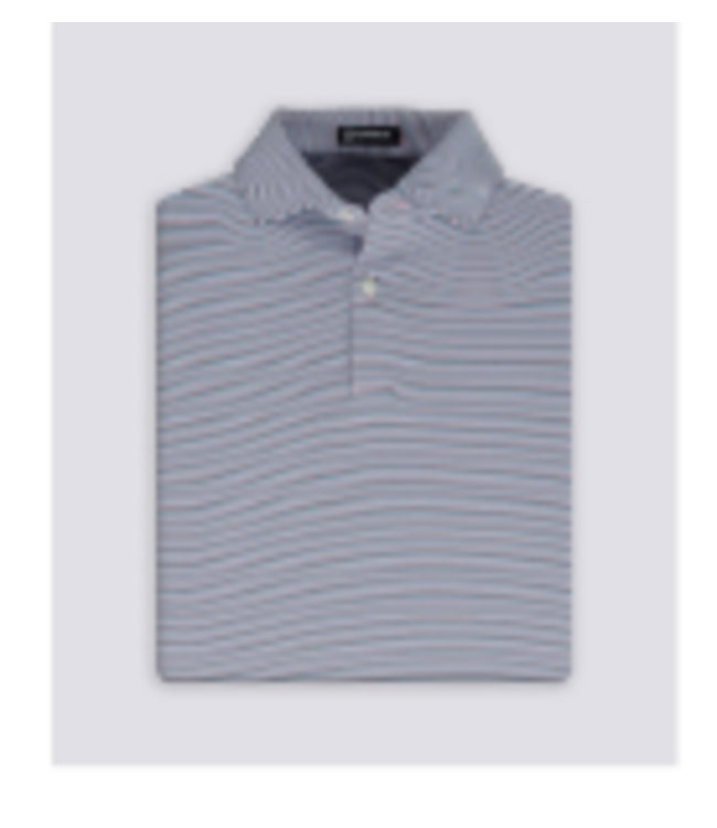 Turtleson Conor Stripe 2 BTN Polo