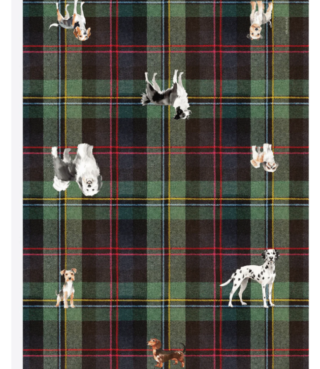 Vilagallo Motif check scarf #33041