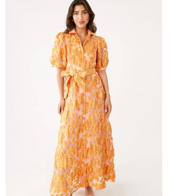 Abbey Glass Olivia Hot Coral Pansy Vine Organza