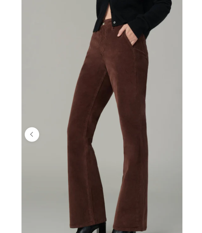 The Provocateur Cord Pant-46TXCPFD6825