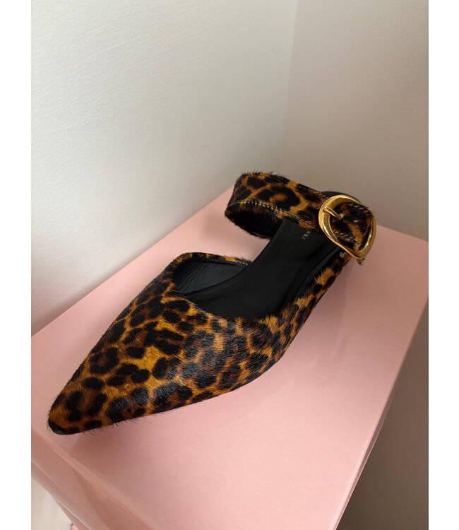 Koko + Palenki Sloane  Leopard