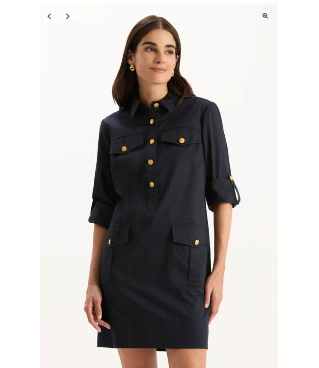 Tyler Boe Rory Shirtdress