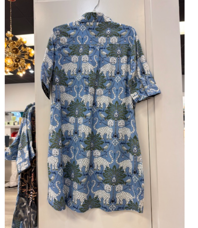 Dizzy Lizzie Chatham dress #615