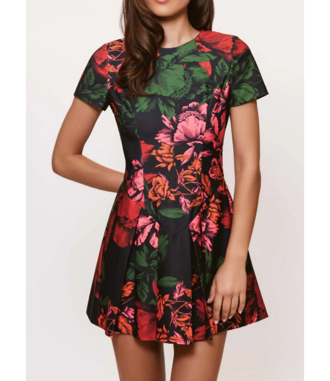 Hutch Emmanuella Dress #11581