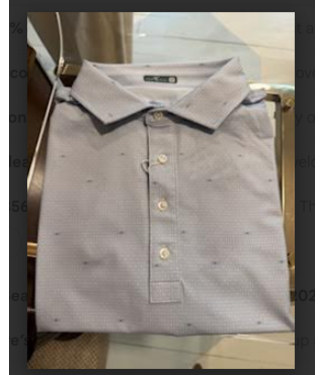 GenTeal-Sunrise Gridline Printed Polo-4367422