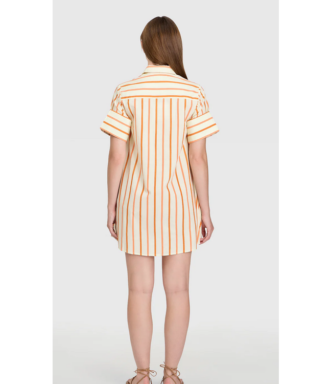 Livro Dock Dress #2768