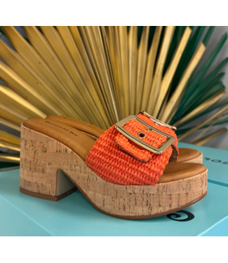 chocolat blu Chocolat Blu Gani