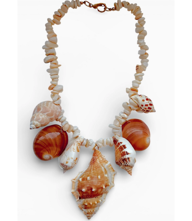 Bijoux Envie Chunky Beaded Seashell Necklace #N4436