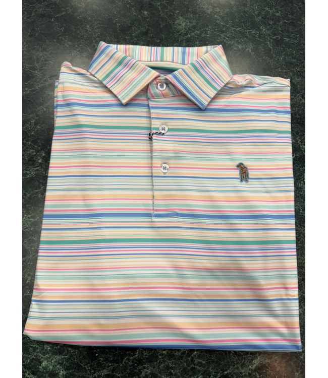 Oasis Stripe Polo