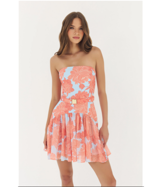 hutch Hutch Rowyn Dress #11677