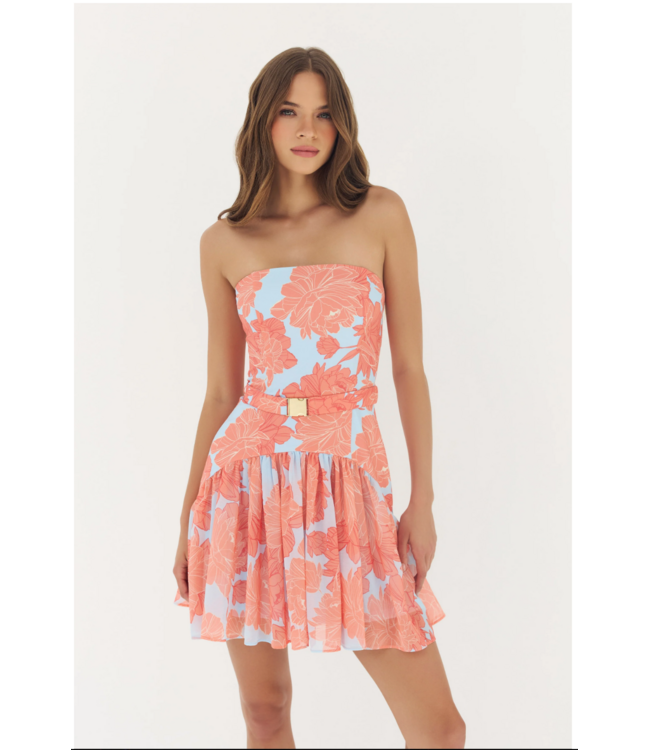 Hutch Rowyn Dress #11677